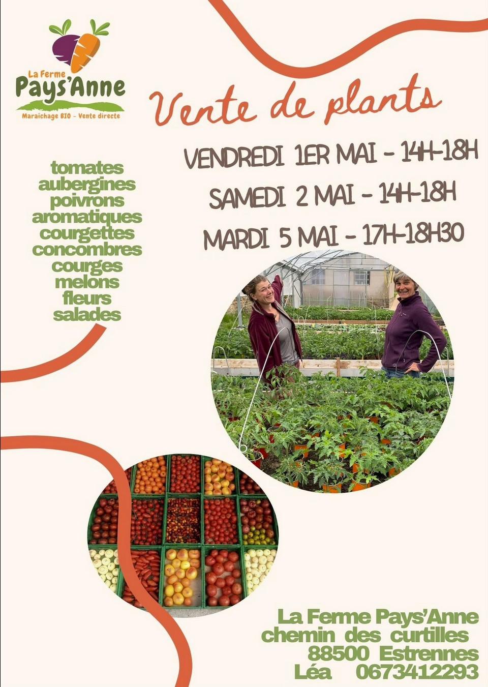 Vente de plants sur une ferme maraichère bio