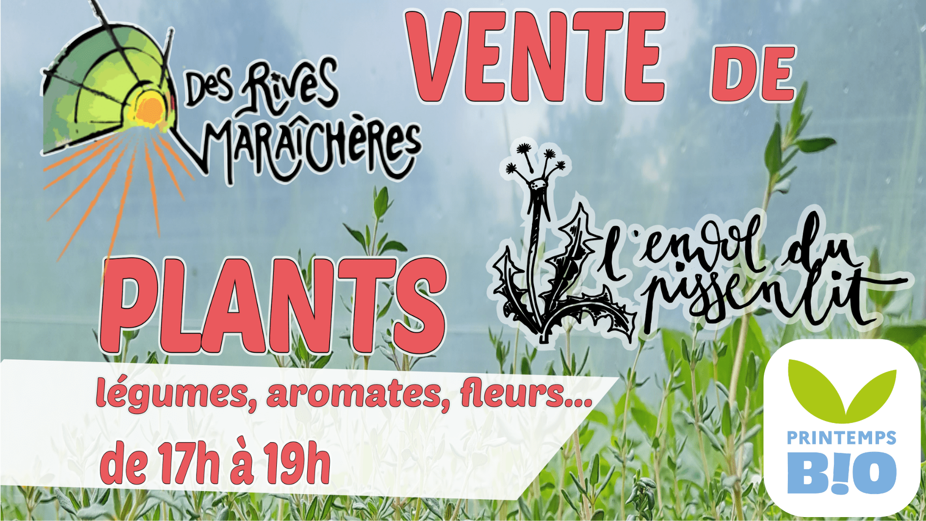 Vente de plants bio